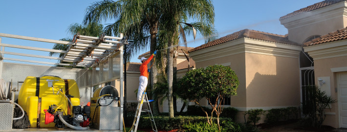 South Florida Roofs: Keeping Them Clean During the Summer