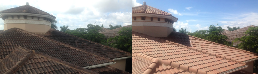 Do you need roof cleaning help in Parkland? Contact Us Now!