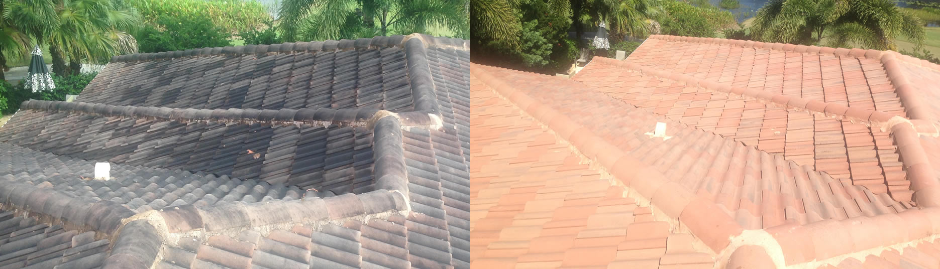 Coral Springs Roof Cleaning – Be Smart and Choose Fiddler!