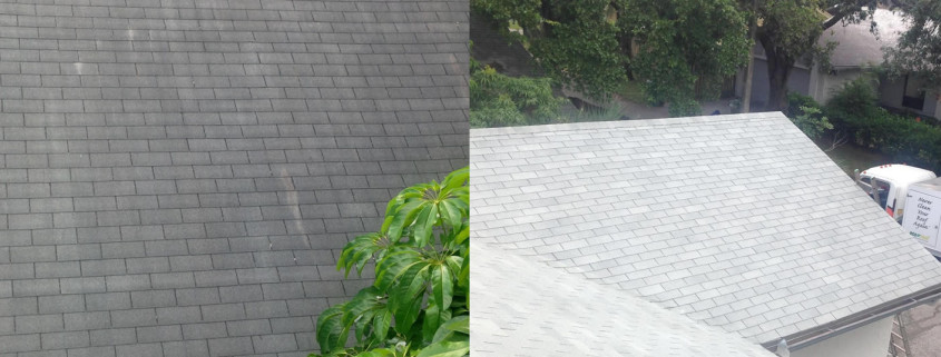 How to Keep Your Asphalt Shingles Clean! Follow These Tips