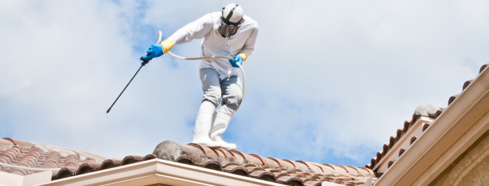 Hiring a Roof Cleaning Company? Avoid These Mistakes!