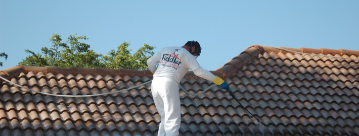 Fall Is Here! Get Your Roof Cleaned Once and For All!