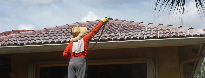 5 ways to get the most out of your roof cleaning company