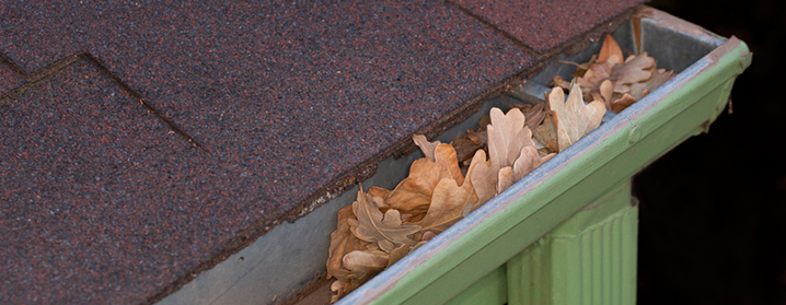 Cleaning and Maintaining Your Rain Gutters – Follow These Tips